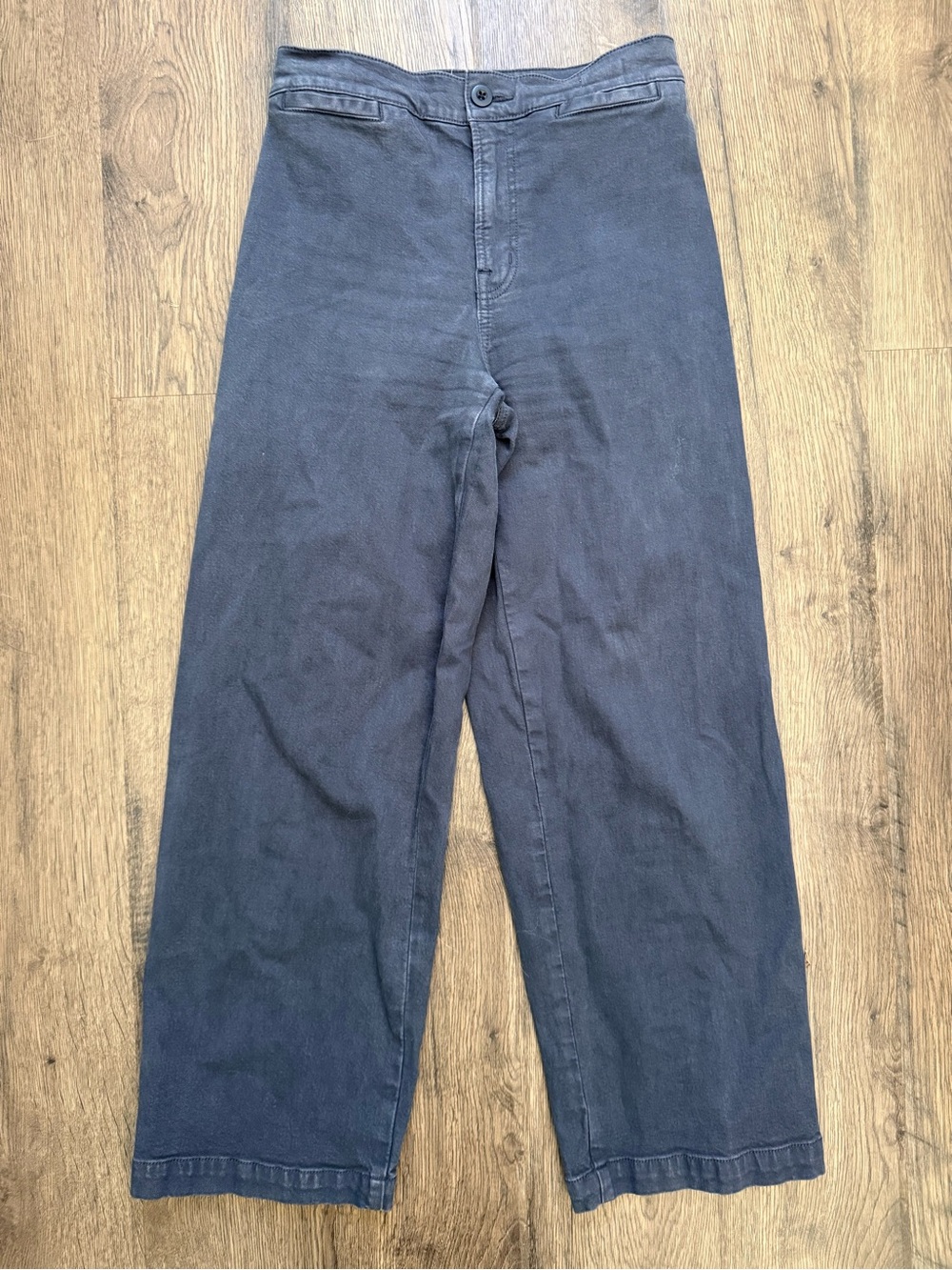 Madewell Distressed Blue Emmett Wide Leg Crop Pants Size 25